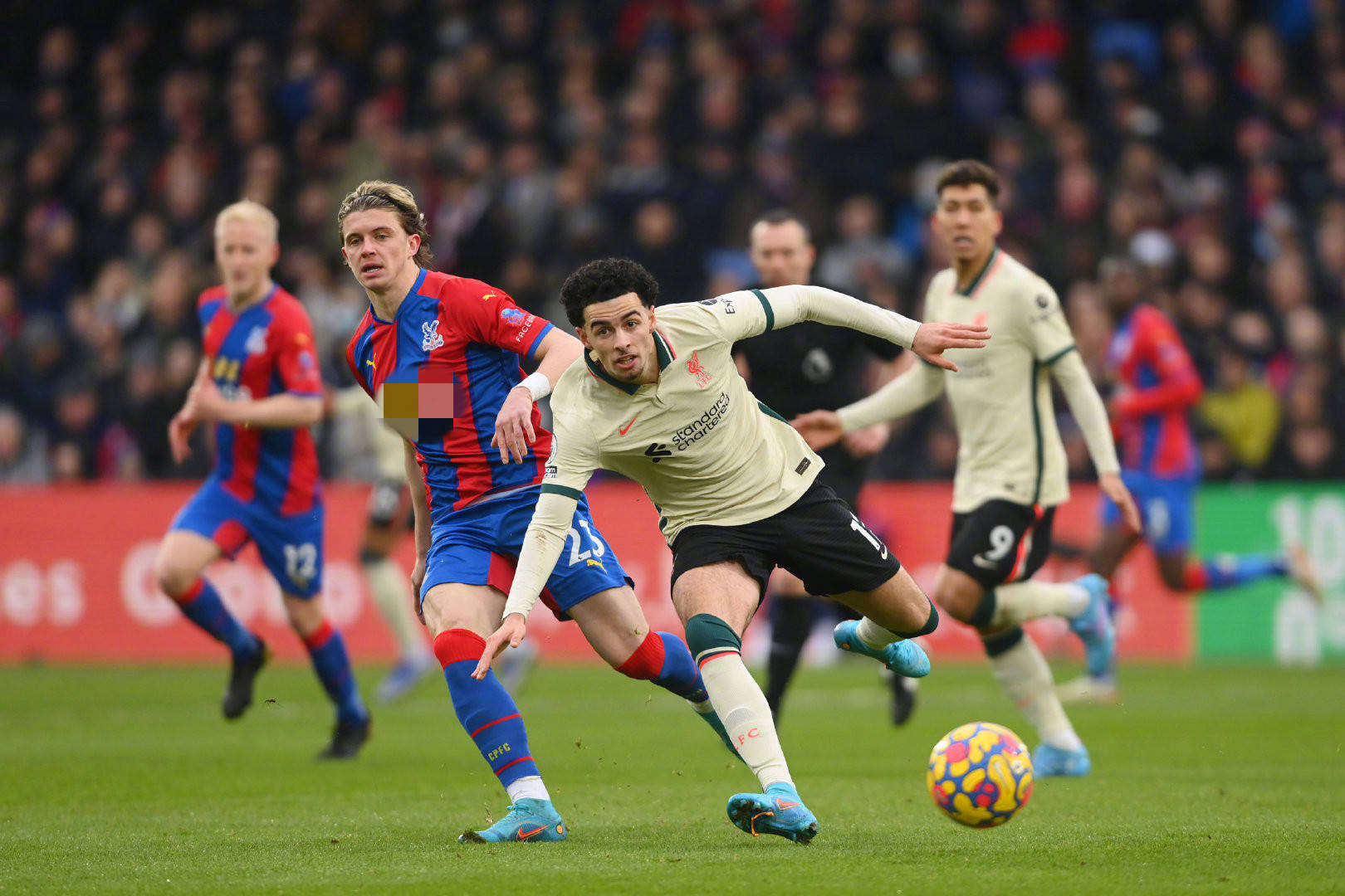 上一直不遗 上一直不遗